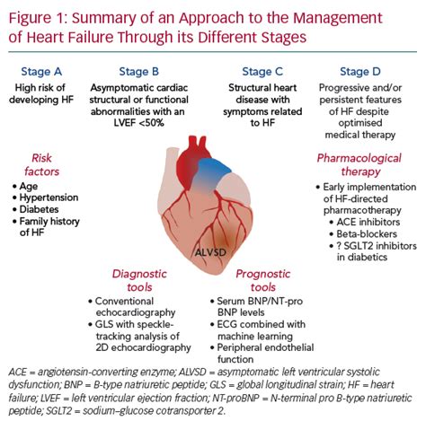 is preserved lv systolic function bad|what is preserved biventricular function.